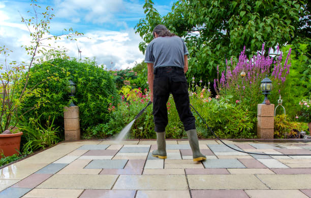 Animal Enclosure Cleaning in Midlothian, TX